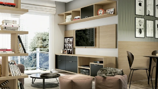 Module Ambientes